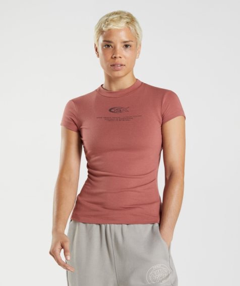 Women's Gymshark GS10 Year Body Fit T-Shirts Brown | NZ 4EGVBI